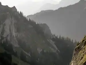 dunstiger Blick in eine Schlucht im Tannheimer Tal