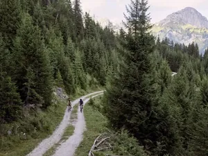 zwei Radler auf einem Forstweg im Tannheimer Tal