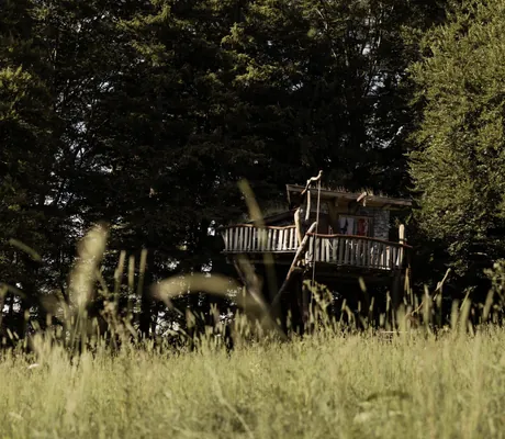 Baumhaus am Waldrand hinter einer Wiese in der Schlossanger Alp