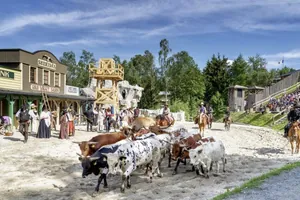 Pullman City - unweit vom Landrefugium Obermüller - Rindertrieb mit Hausfassaden wie im Wilden Westen.