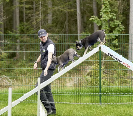 Hundetrainer mit Bascap lockt zwei Hunde auf Agility-Gerät im Alpenhotel Karwendel mit Leckerlis