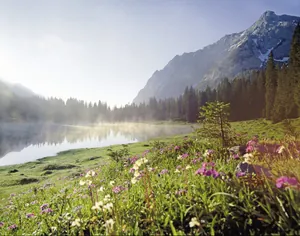 Blumenwiese vor Iglsee mit Nebelschwaden in der Nähe des Alpenhotel Karwendel