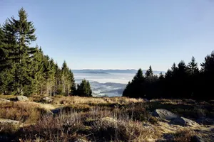 Herbstliche Wiese mit Felsen mit Blick auf das Tal im Nebel im Wellnesshotel Zum Bräu