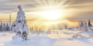 strahlende Sonne vor verschneiter Winterlandschaft beim Wellnesshotel Zum Bräu