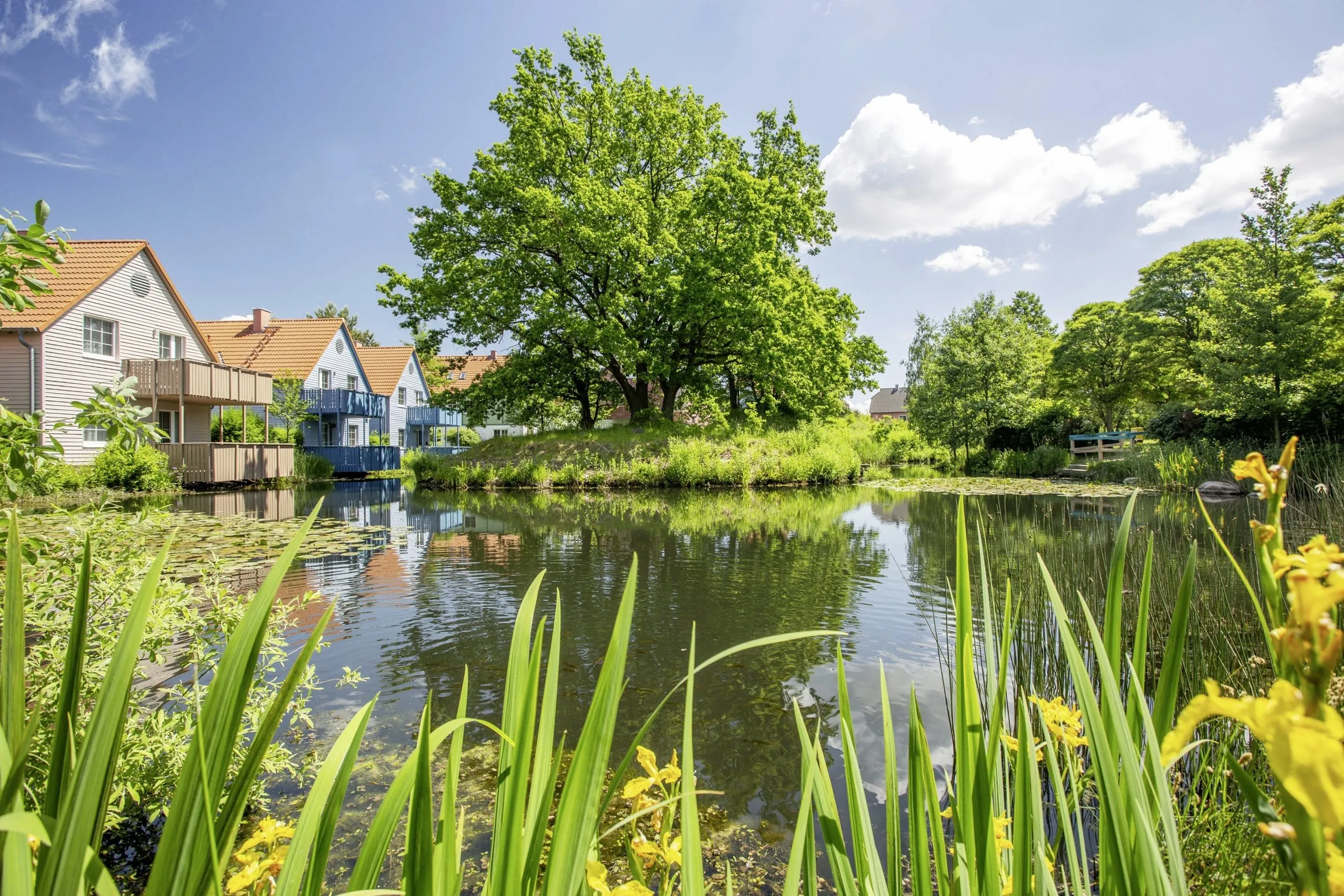 Blick vom Naturteich aus auf die Häuser des BEECH Resort Fleesensee