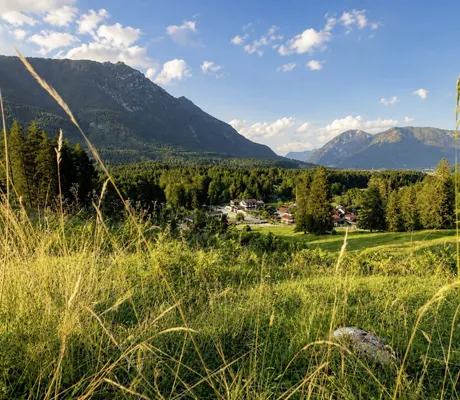 Ansicht des Bayern Resort vom Berg aus mit Blick auf die Wiesen und Wälder der Umgebung